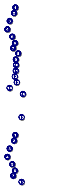 Softball Grass Event Ticket Front Field Markers