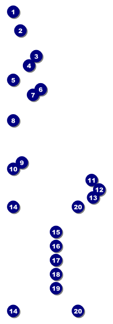 Texas Hold 'Em Raffle Ticket Front Field Markers