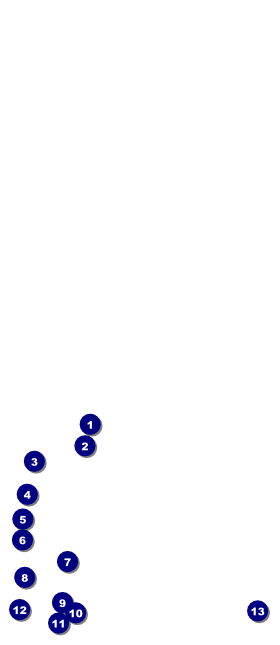 Black Tie VIP Pass Front Field Markers