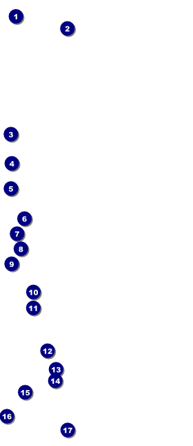 Heart Health VIP Pass Front Field Markers