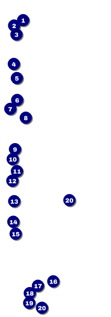 Cinderella Event Ticket Front Field Markers