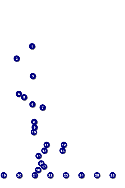 Renaissance Logo Poster Front Field Markers