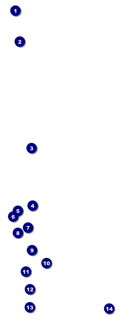 Ski Goggles VIP Pass Front Field Markers