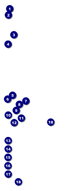 Skateboarding Raffle Ticket Front Field Markers
