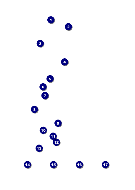 Snowboarding Club Flyer Front Field Markers