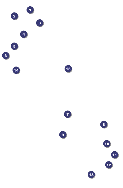 MMA Main Event Brown Drink Ticket Front Field Markers