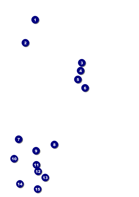 Equestrian Club Flyer Front Field Markers
